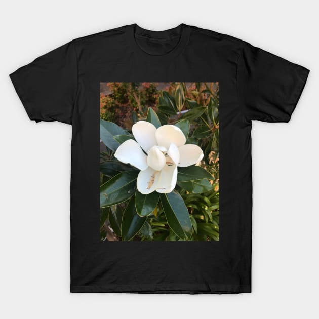 Magnolia T-Shirt by YollieBeeArt